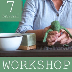 Workshop  7 februari, middag
